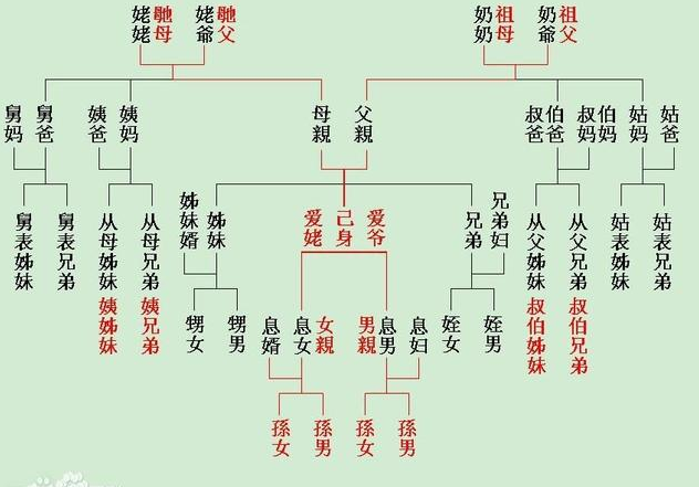 在血缘关系中表妹堂妹哪个的血缘关系更近一些
