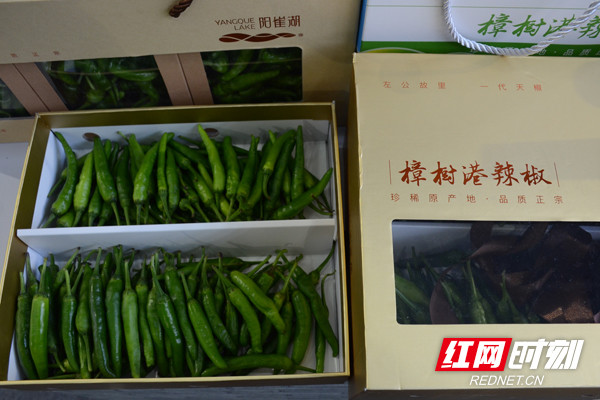 柔软微辣清香湘阴樟树港辣椒全面上市