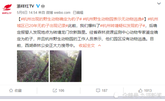 不光如此,浙江省内20年内也没有野生豹子出没的记录.