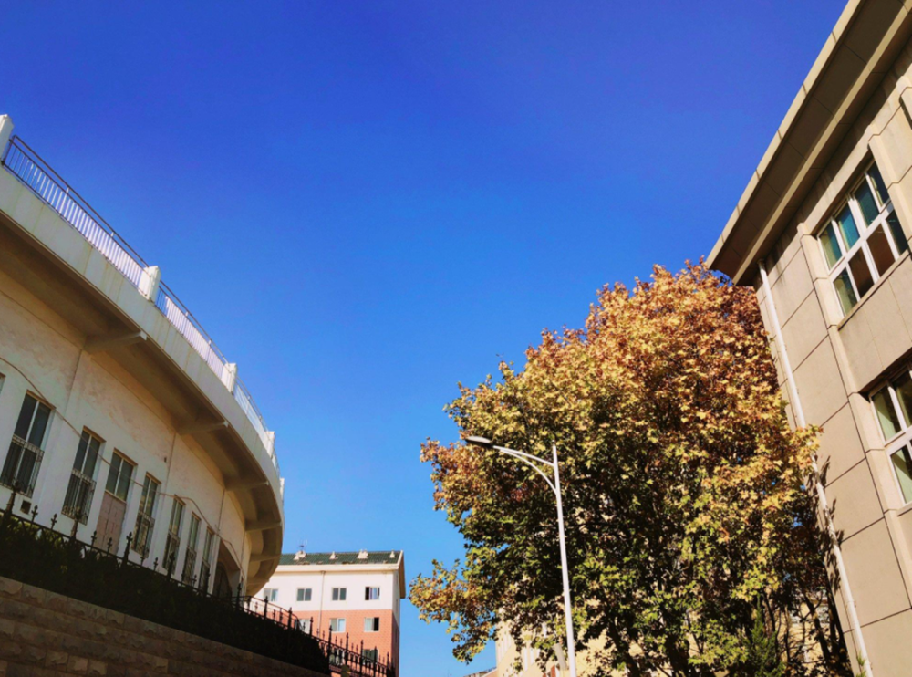 财经大学排行_2021软科财经类大学排名,两财一贸地位稳固,东北财大很抢