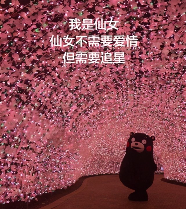 打榜投票购买产品追星费钱费力该如何引导孩子理智追星呢