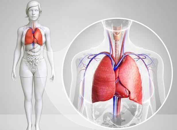 喉咙的这3种情况,是来自肺部信号?有这3种不适,应多加注意