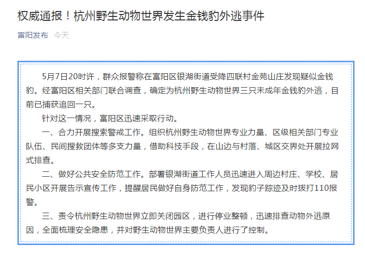 經富陽區相關部門聯合調查,確定為杭州野生動物世界三隻未成年金錢豹