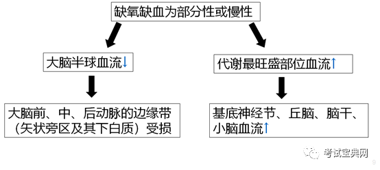 新生兒與新生兒疾病新生兒缺氧缺血性腦病