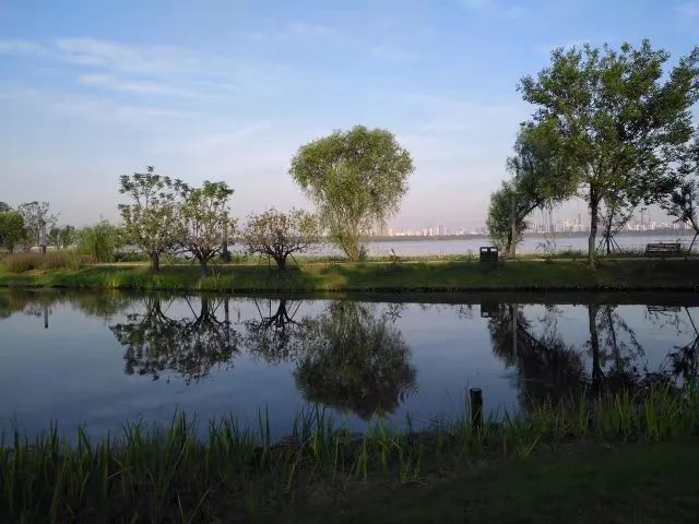 湖光雲影,水天一色,碧波盪漾,山水相依,岸芷汀蘭,鬱郁菁菁!