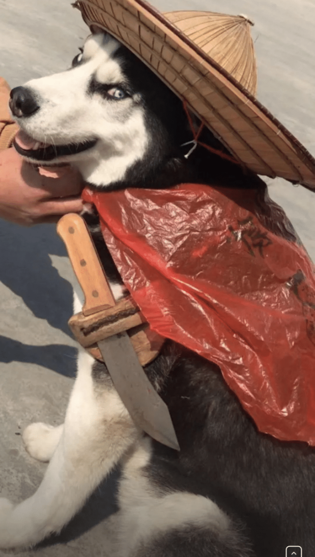 曾经的首富已变得一无所有,只剩下北京264套房子,网友:家父归来!