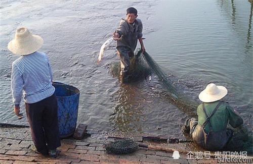 海洋养殖鱼类疾病防治措施 海洋生物养殖
