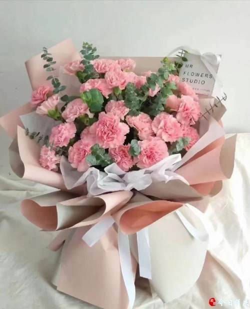 母亲节催热鲜花市场康乃馨价格翻倍