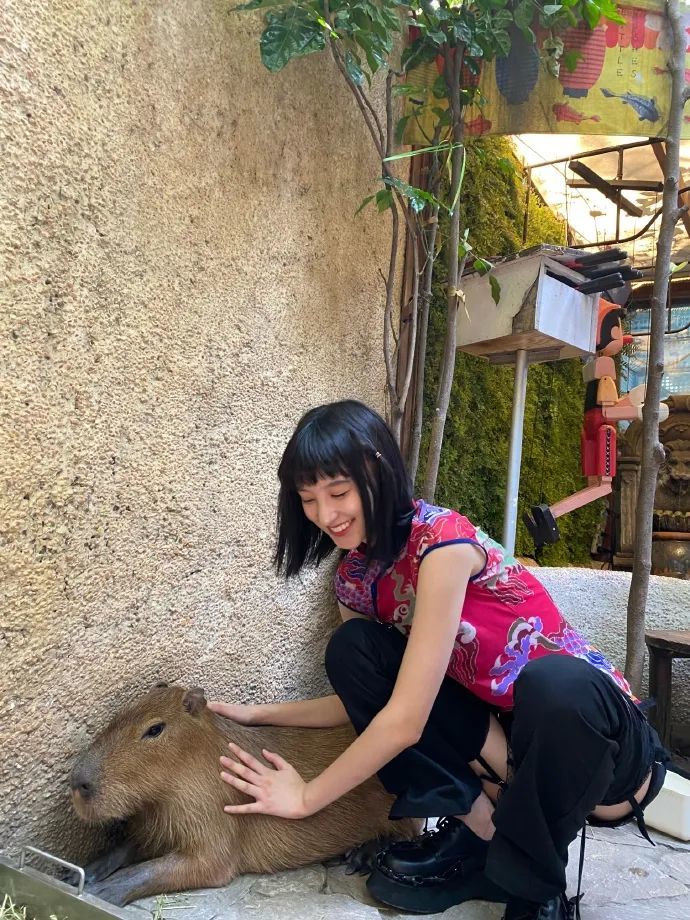 和井越一起拍的vlog更是许多人的意难平…不过虽然现在两个人分开了