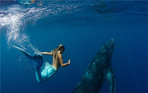水族排行_无声无息的“水族人”,在海底深藏10年从未露面,现已被国家保护