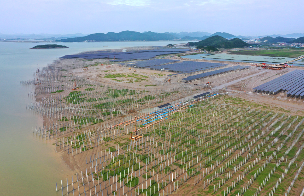丈量象山最美海岸线|全省最大海岸滩涂光伏工程建设开足马力