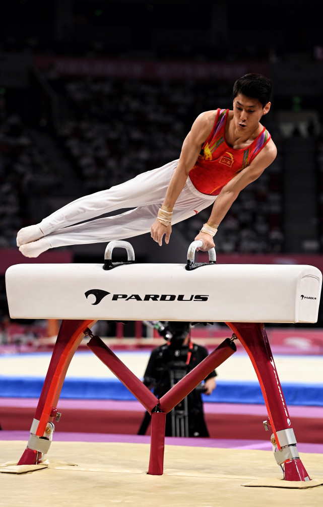 体育体操全锦赛男子鞍马决赛赛况2