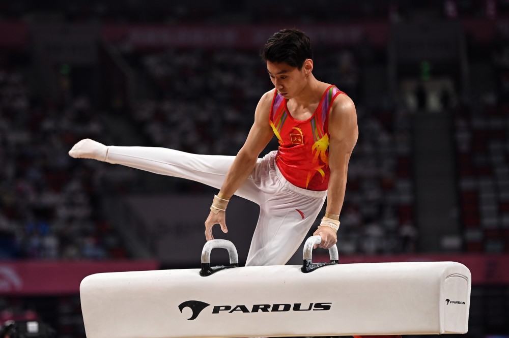 (体育)体操——全锦赛:男子鞍马决赛赛况(2)