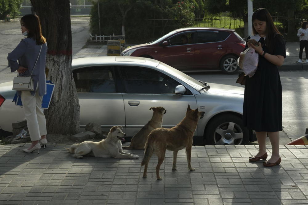 浐河边的三河一山工程如何了 严建设 腾讯新闻
