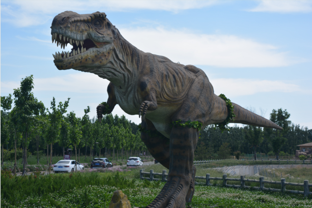 衡水野生动物园武邑小长假接待游客20万人