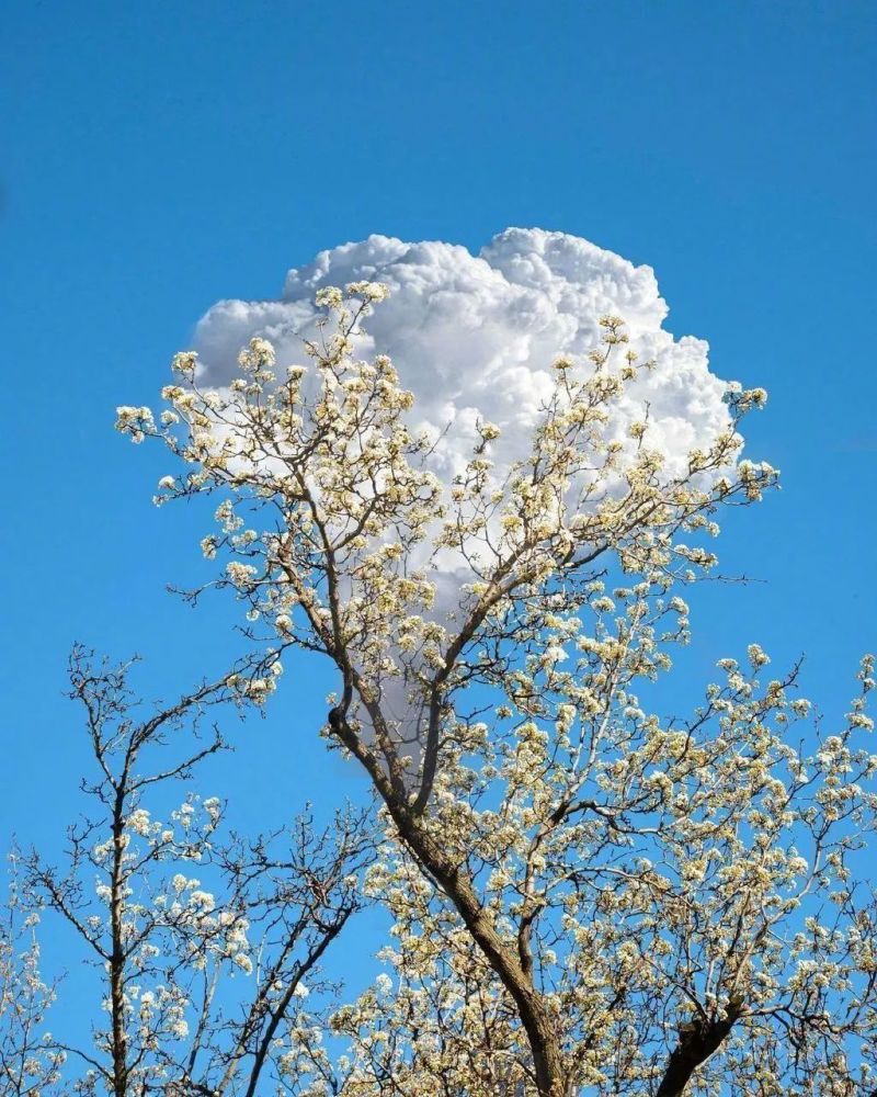 艺推艺术家tinycactus作品图片