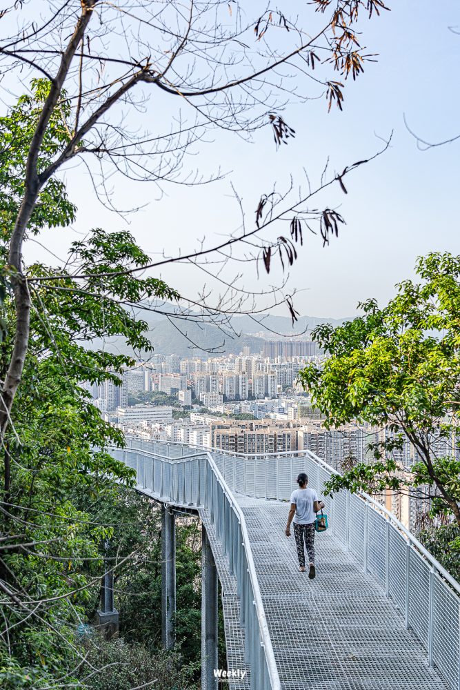 深圳最美日落在这条少有人知的空中栈道上