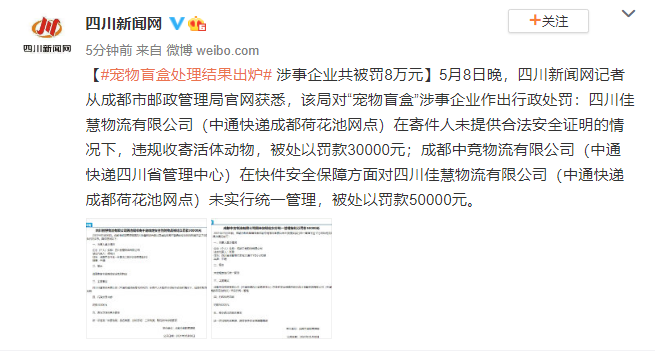 "宠物盲盒"处理结果出炉 涉事企业共被罚8万元