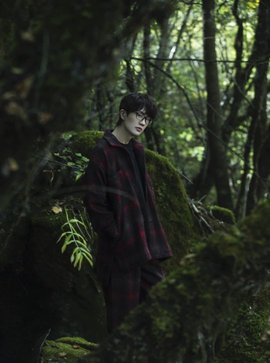 乌鸦排行_爱国者主场21连胜终结,乌鸦稳居排行榜头名