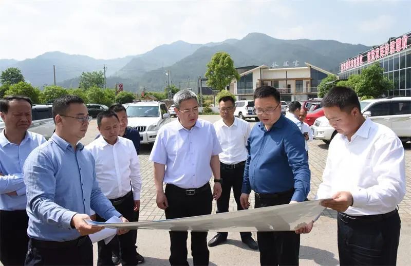 初夏时节,青川县沙州镇青坪村的"白叶一号"茶叶产业基地内,一派生机