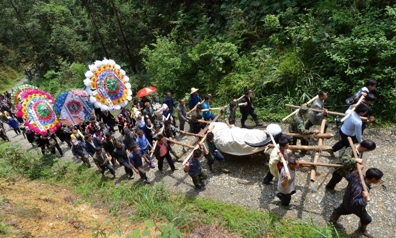 雷公山"牛王"死后,16人抬棺拿茅台酒祭祀,主人:为它养老送终