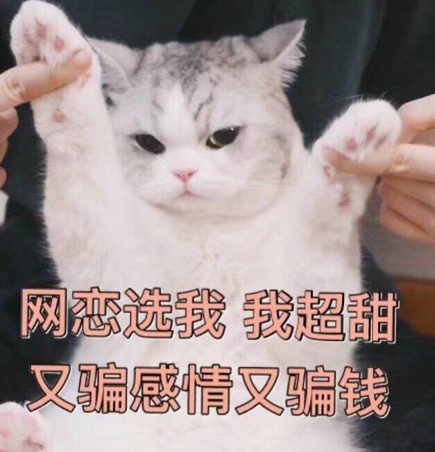 讽刺的是,很多粉丝对我说,网恋了,奔现了,睡过了,还不知道对方的名字