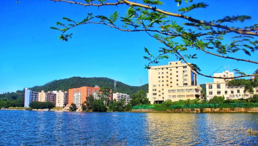 最新福建4所学校拟被全国推介