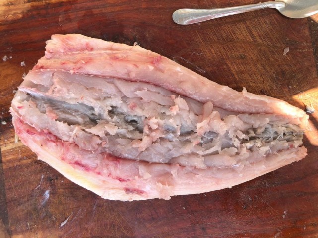 又鲜又嫩的鲅鱼馅饺子,鲜嫩多汁,口感滑嫩q弹