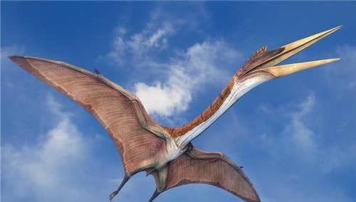 157年前美国人抓到一只翼龙,两翼宽16米,还留下合影,没ps痕迹