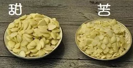 南杏仁北杏仁到底有什么区别？_腾讯新闻