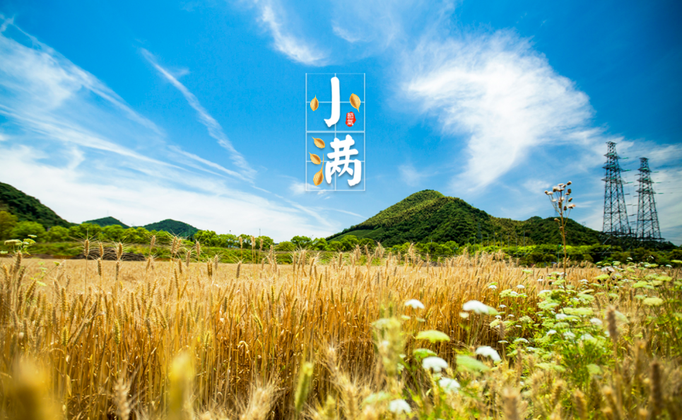立夏已过小满将至5句俗语预测2021年景有没有道理
