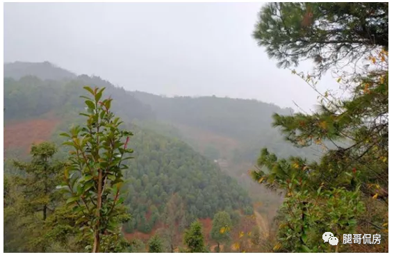 长沙风水很好的楼盘，招商雍山湖有无量子代言开盘将售馨