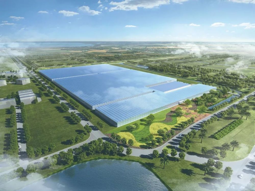 有让斗门的水产品源源不断运送到各地餐桌上的斗门白蕉现代农业示范园
