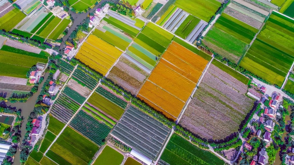 嘉兴获国务院督查奖励1000亩土地指标大礼包抵嘉善3个月工作
