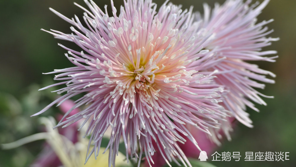 5月10日星座运势 白羊量力而为 狮子好奇心强 双鱼目光长远 腾讯新闻