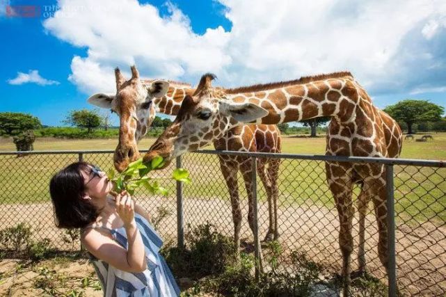 生態動物園