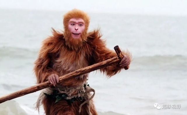 自卑与超越:孙悟空在斜月三星洞的修行历程|石猴|修行|菩提祖师|花果