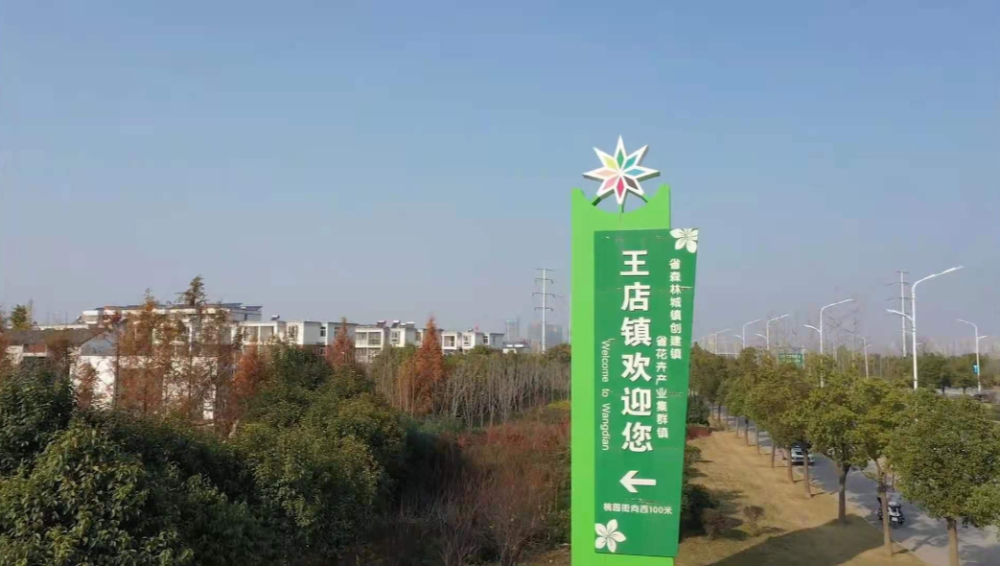 王店镇素有"农民画乡"的美誉,正在打造"中原花都·芳香小镇",安徽农之