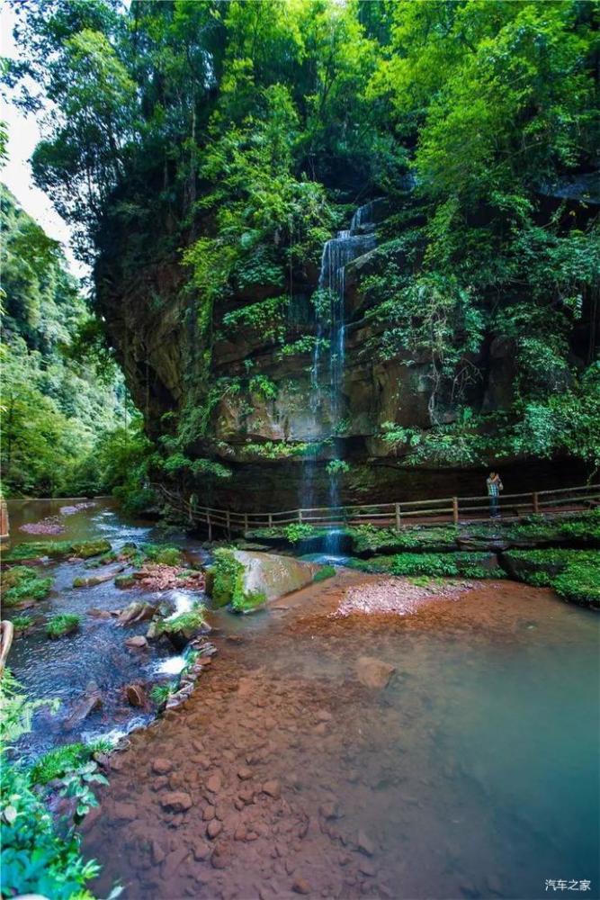 先後建成碧峰峽生態風景區,野生動物園,大熊貓保護基地