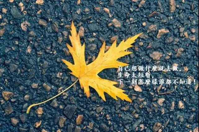 适合发朋友圈的唯美心情说说句句透心的经典句子