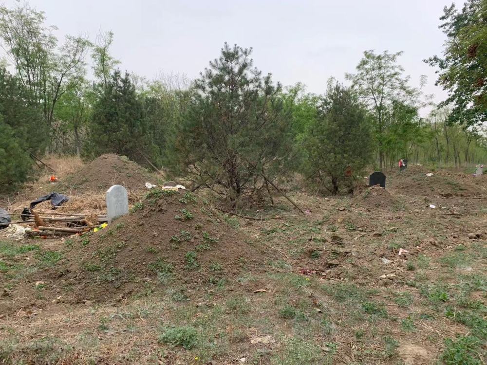 公园林地冒坟头房子成为坟景房数量密集游客避之不及