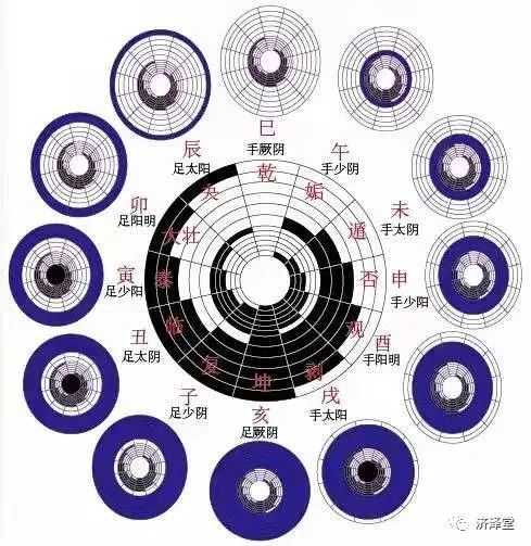 卢崇汉讲针灸奇闻