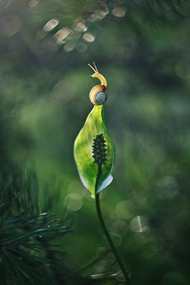 "我们"生存于宇宙中,是宇宙整体组成部分.宇宙是个有机生命体