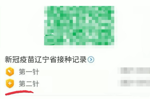 辽宁健康码金色盾牌已备好!网友:建议全国推广