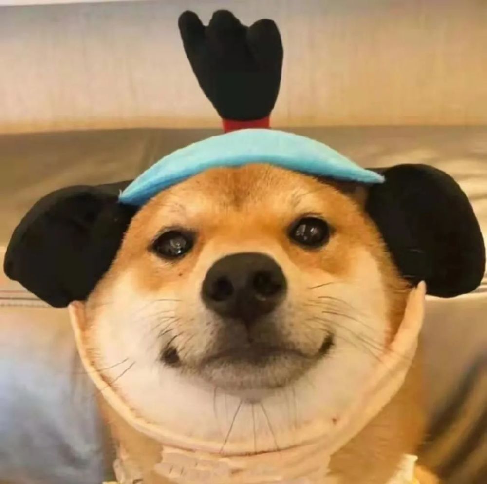 一组搞怪沙雕头像请签收