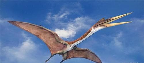 1864年,美国士兵击落一条风神翼龙,并留下合影当证据,是真是假