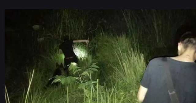 开封210大案710支枪5000多发子弹候八开始谋划下一步行动