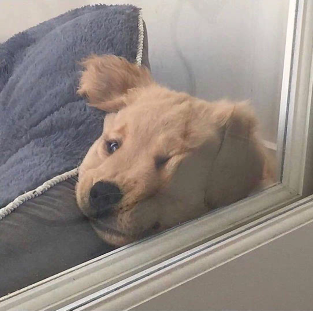 头像丨知道你没头像用了