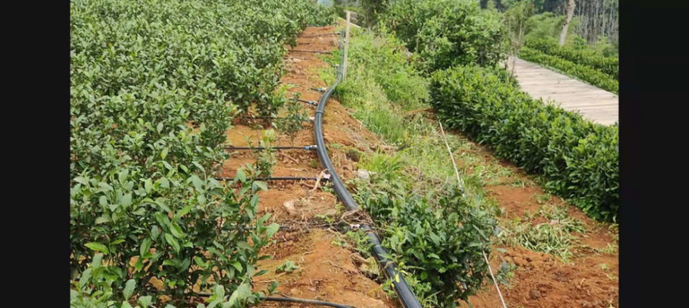 数字农业我们为什么要用5g