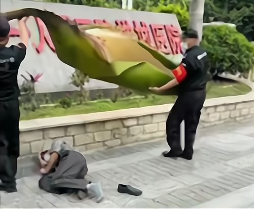 广东佛山一男子被树叶砸晕一片叶子30斤南方小伙伴瑟瑟发抖